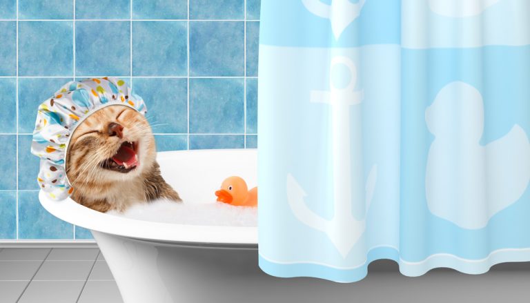 Why Does My Cat Watch Me Shower? 15 Cute (and Normal) Reasons