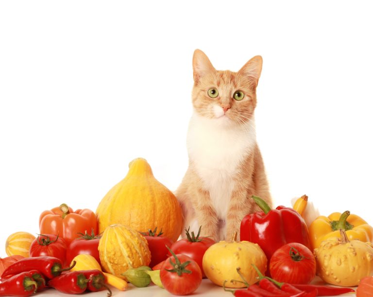 Can Cats Eat Bell Pepper? [The Answer Might Surprise You]
