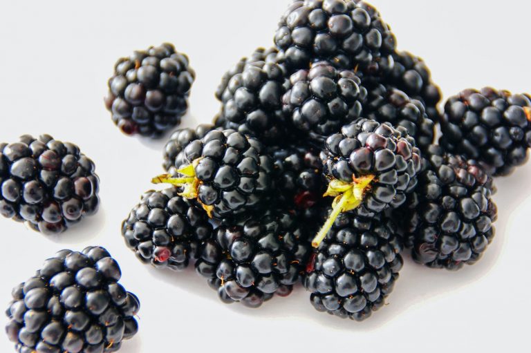 Can Cats Have Blackberries? Here’s What You Need to Know