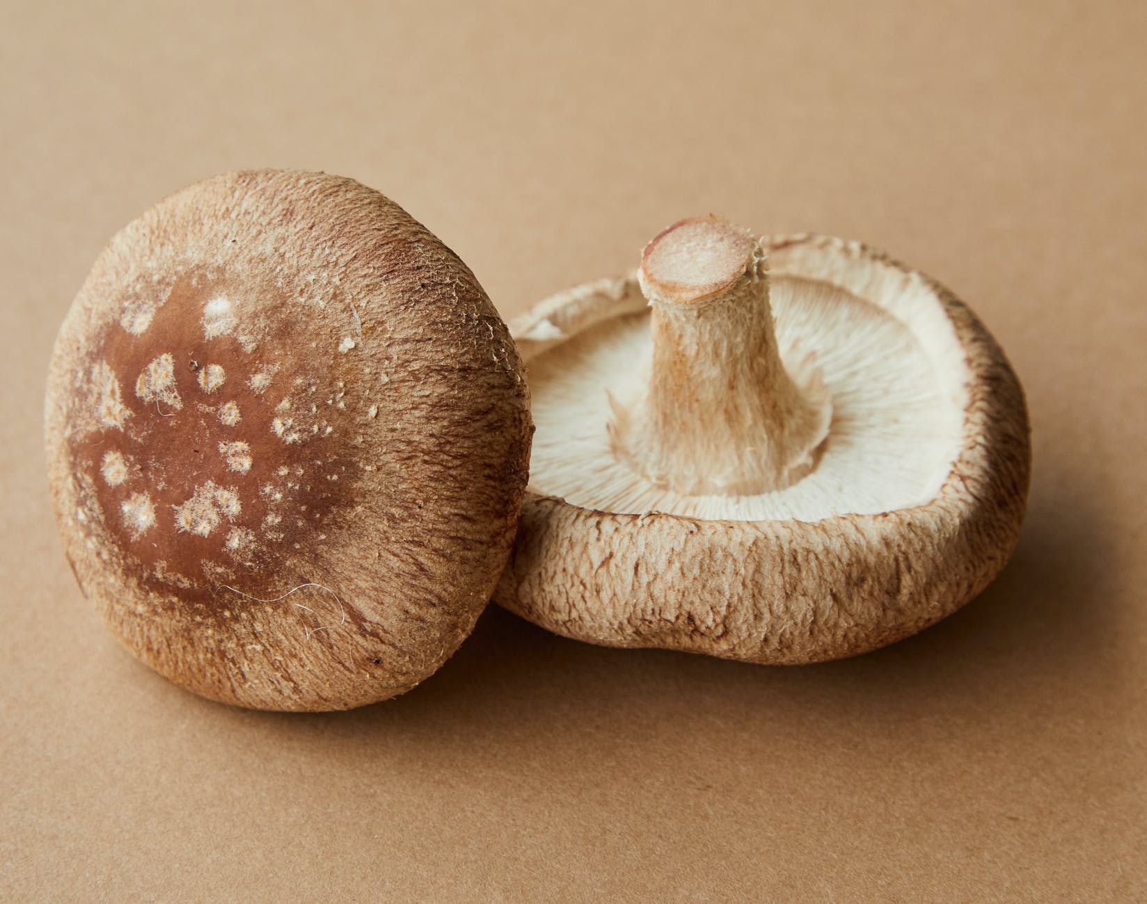 Is it safe for felines to eat fresh mushrooms?