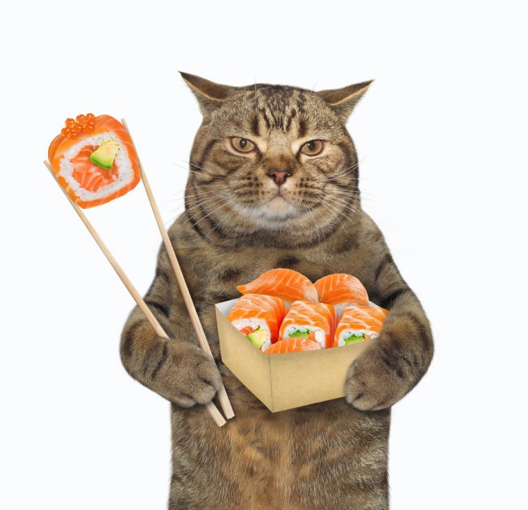 Can Cats Have Sushi? Here’s What You Need to Know