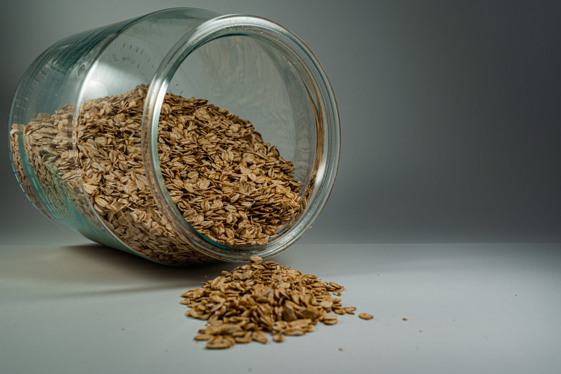 Can cats eat grains: Alternatives that can be fed to cats?