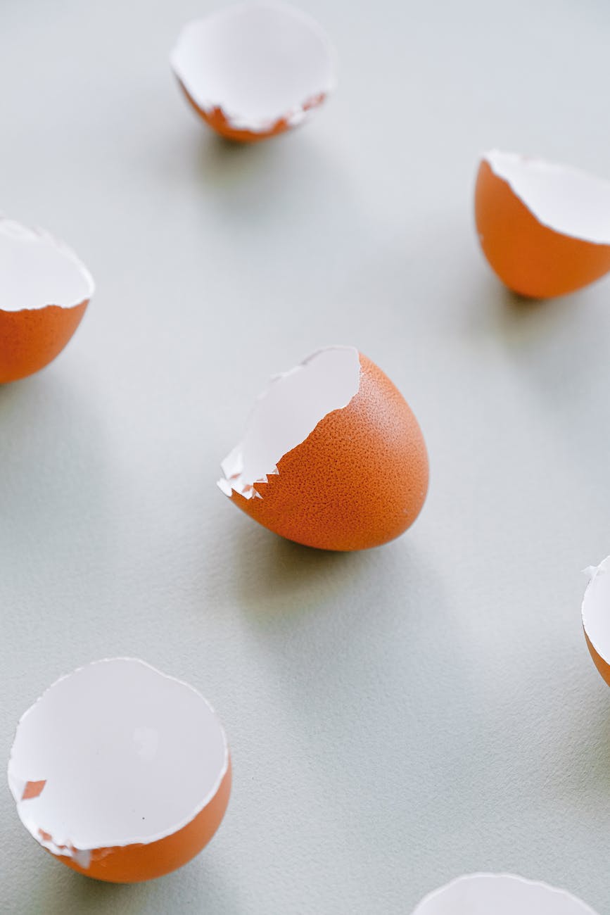 What is the nutritional value of eggshells for cats?