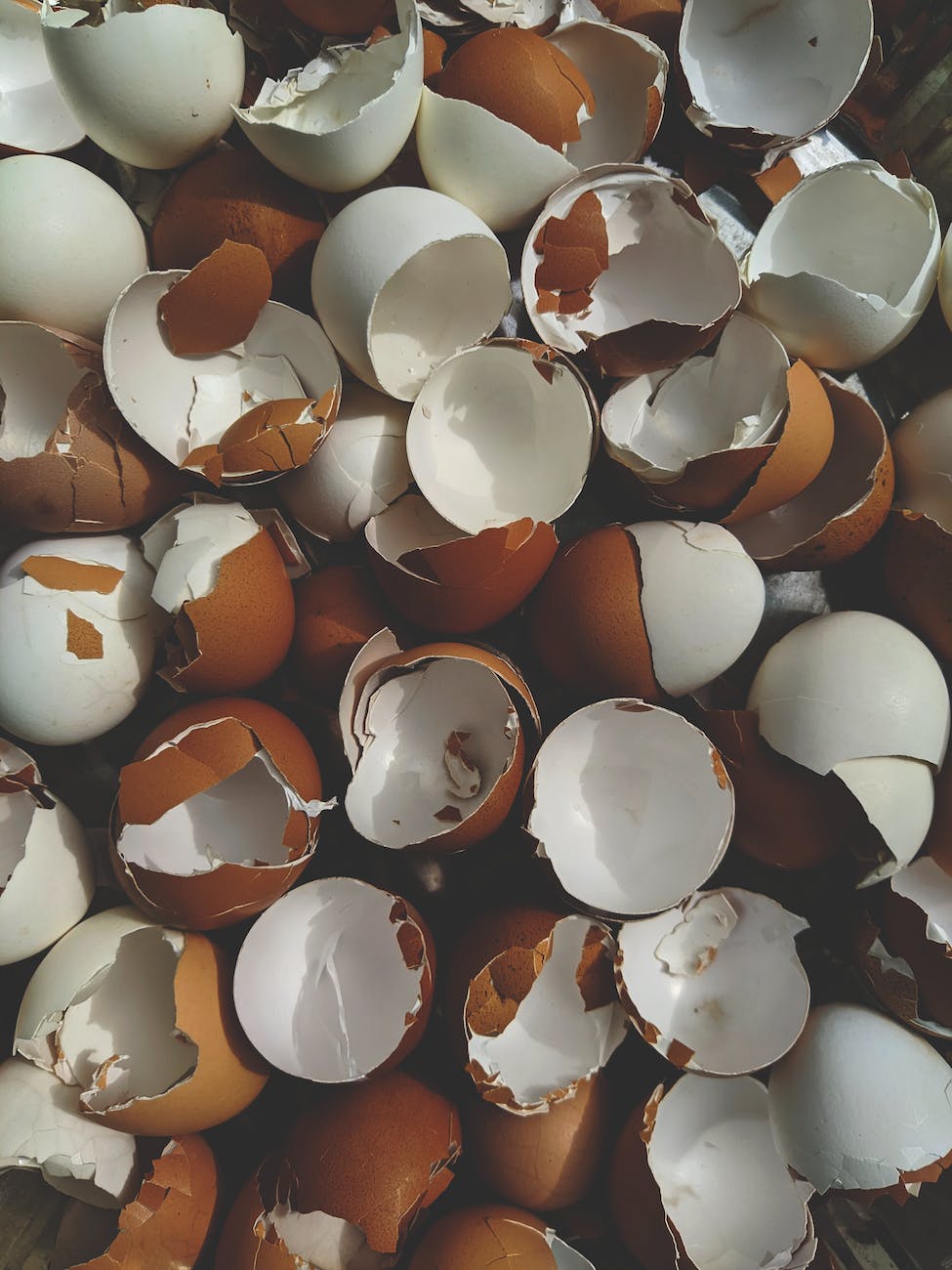 Are there any risks associated with feeding eggshells to cats?
