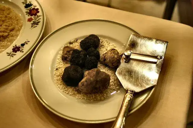 Can cats eat truffles
