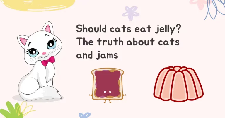Can Cats Eat Jelly? List Of 10+ Delicious Jelly Types Explained