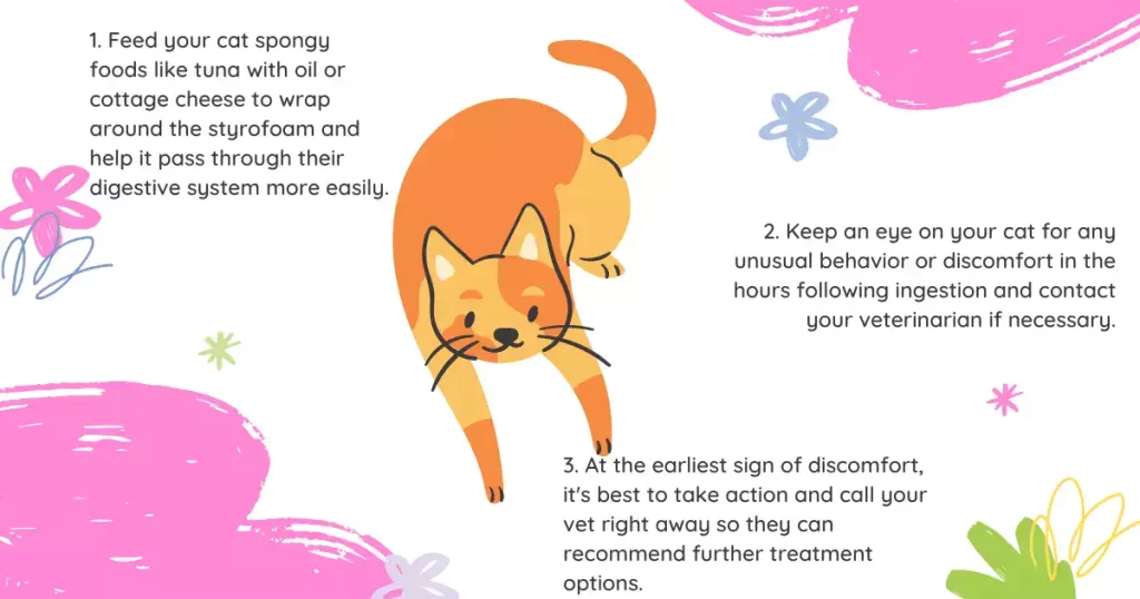 Home Remedies If  Cat Eats Styrofoam