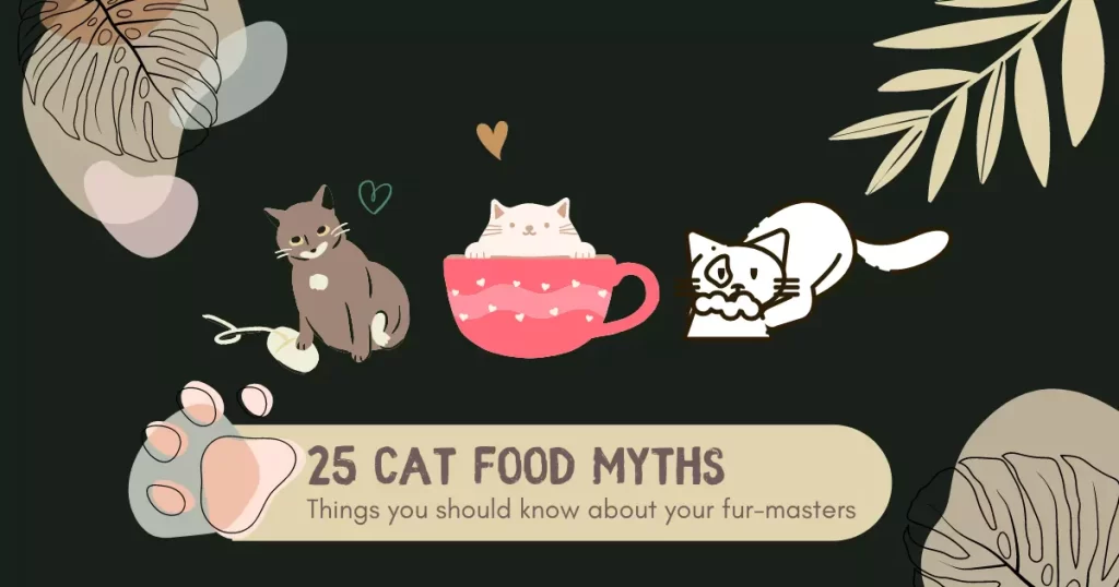 Cat food myths