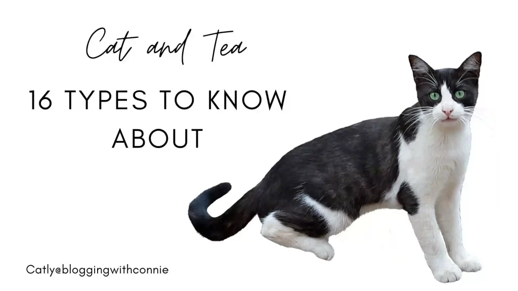 Can Cats Drink Tea? Is Tea Bad for Cats? 16 Types to Know About