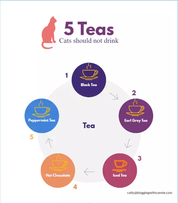 Teas cats should not drink