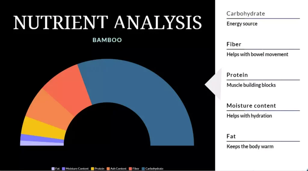 Benefits of Drinking Bamboo Water for Cats