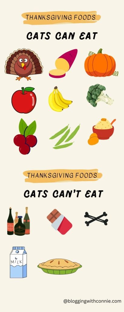 What thanksgiving foods can cats eat