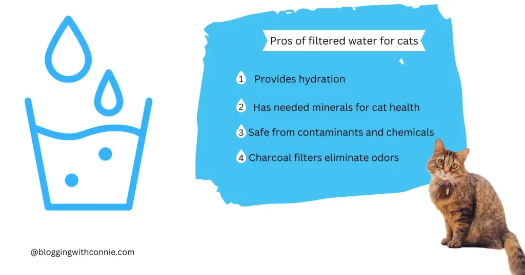 Advantages of Filtering Your Cat’s Water