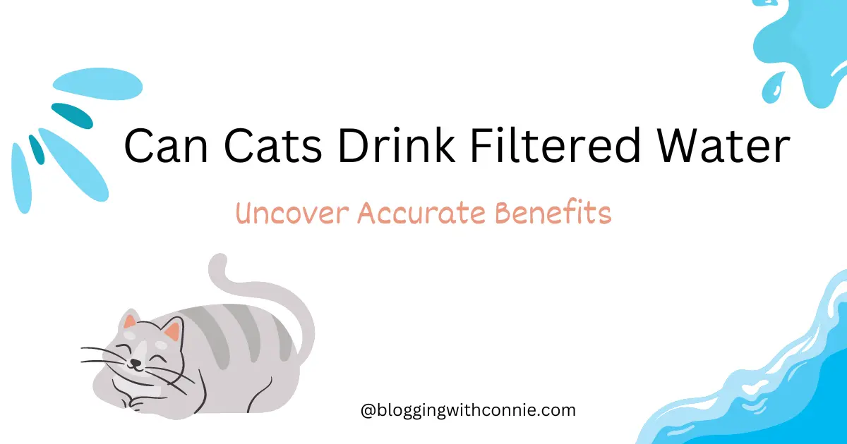 can cats drink filtered water
