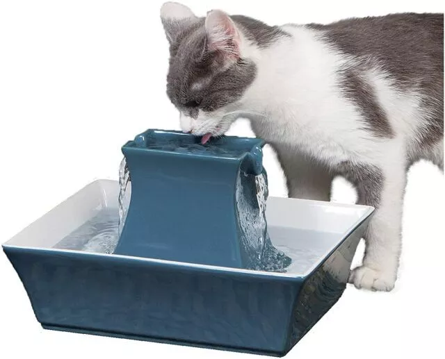 Is It Necessary to Use a Filter in a Cat’s Water Fountain?