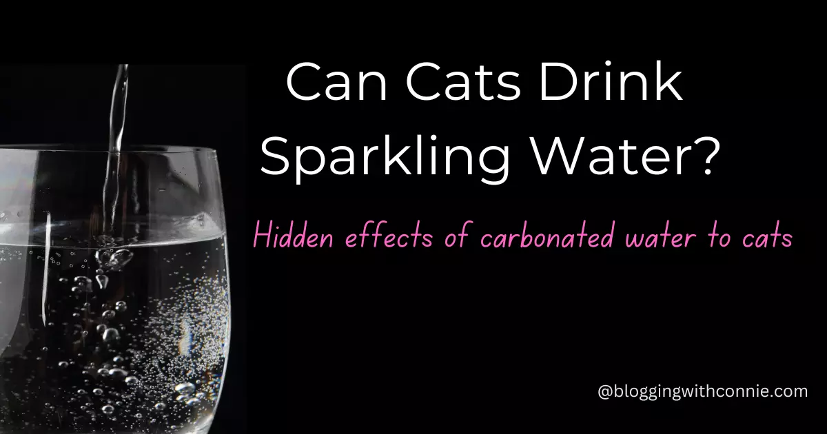 Can cats drink sparkling water