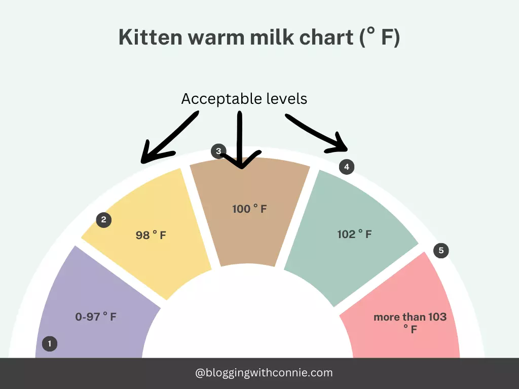 Kitten's Milk Is Too Hot