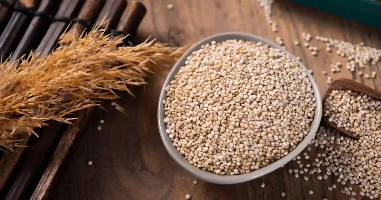Can Cats Eat Quinoa? 9 Healthy Reasons Why Cats Can Have Quinoa
