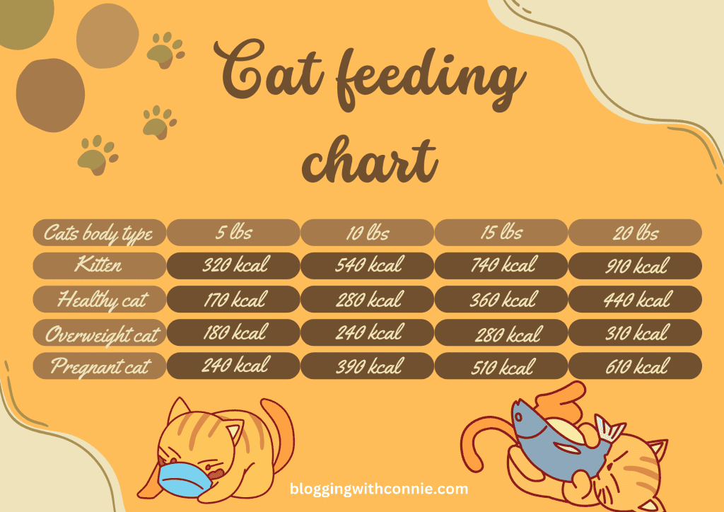 cat feeding chart