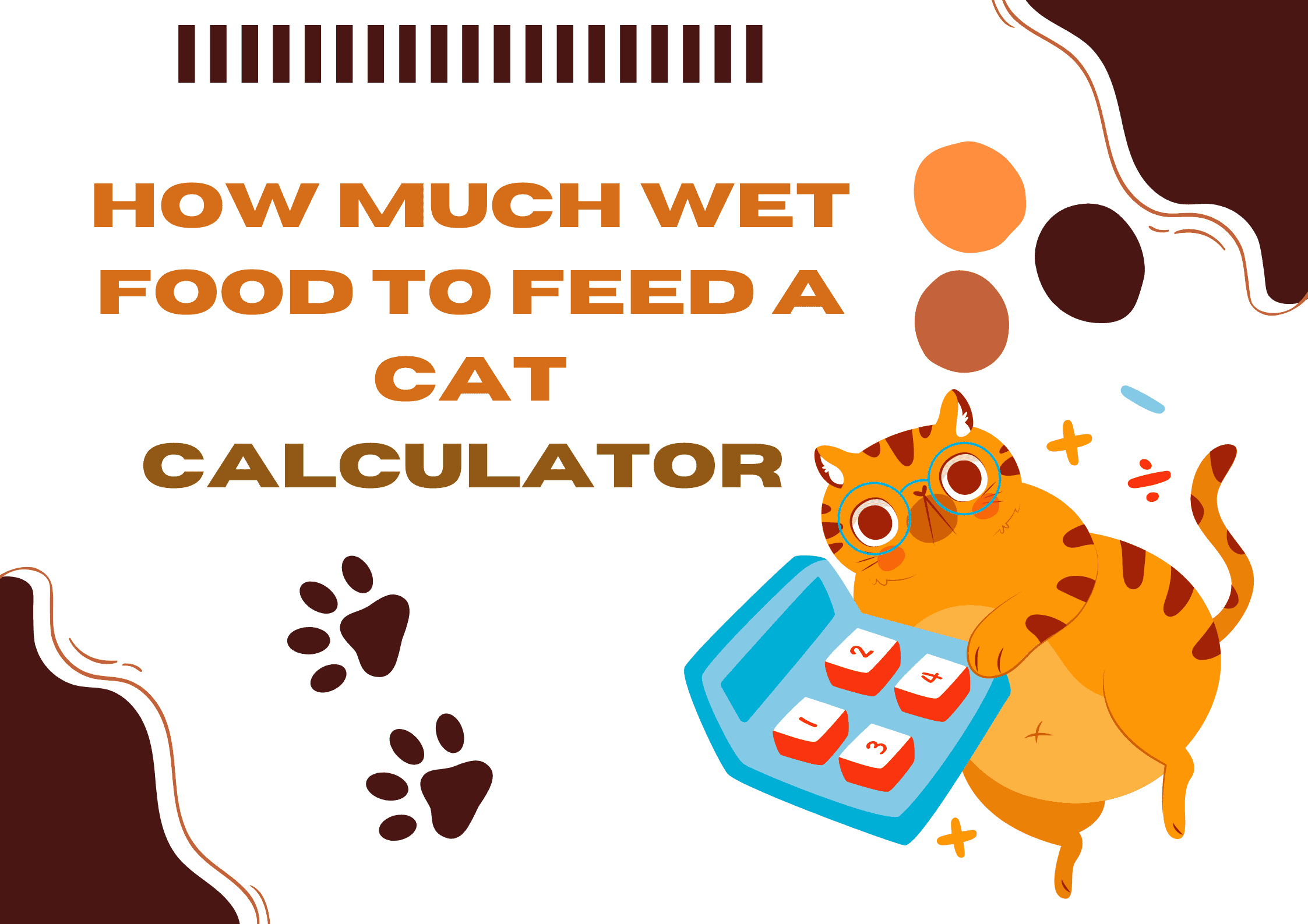 How much wet food to feed a cat calculator