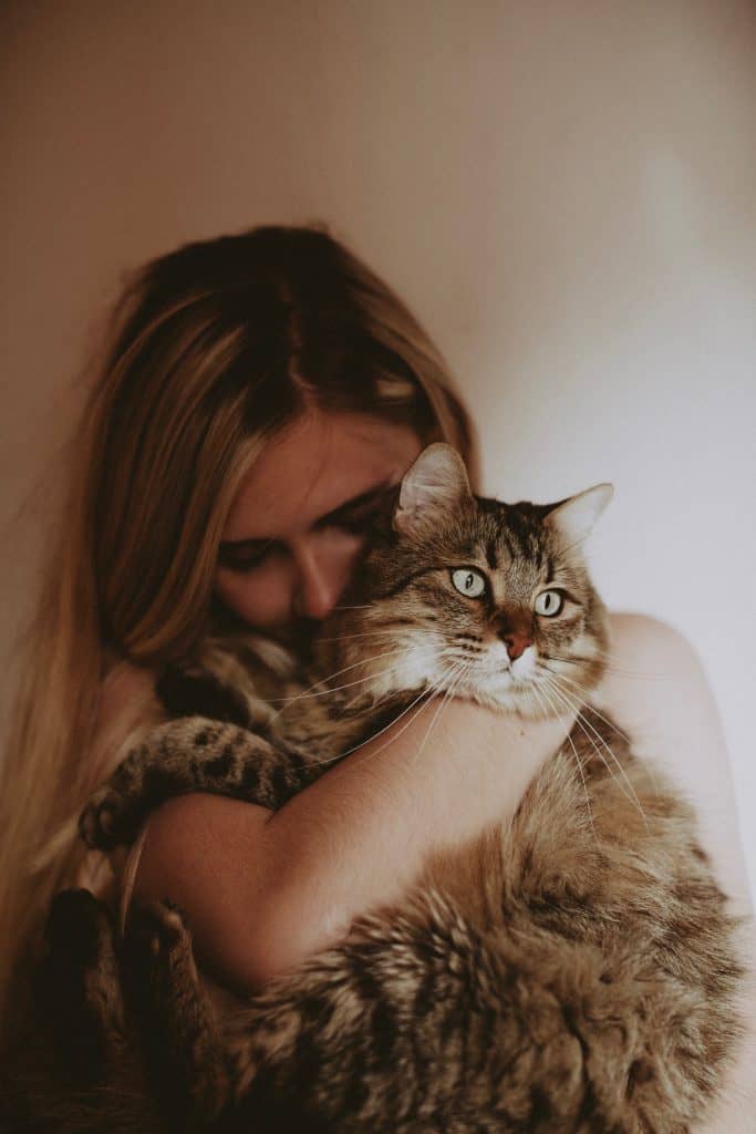 cat in woman's hands