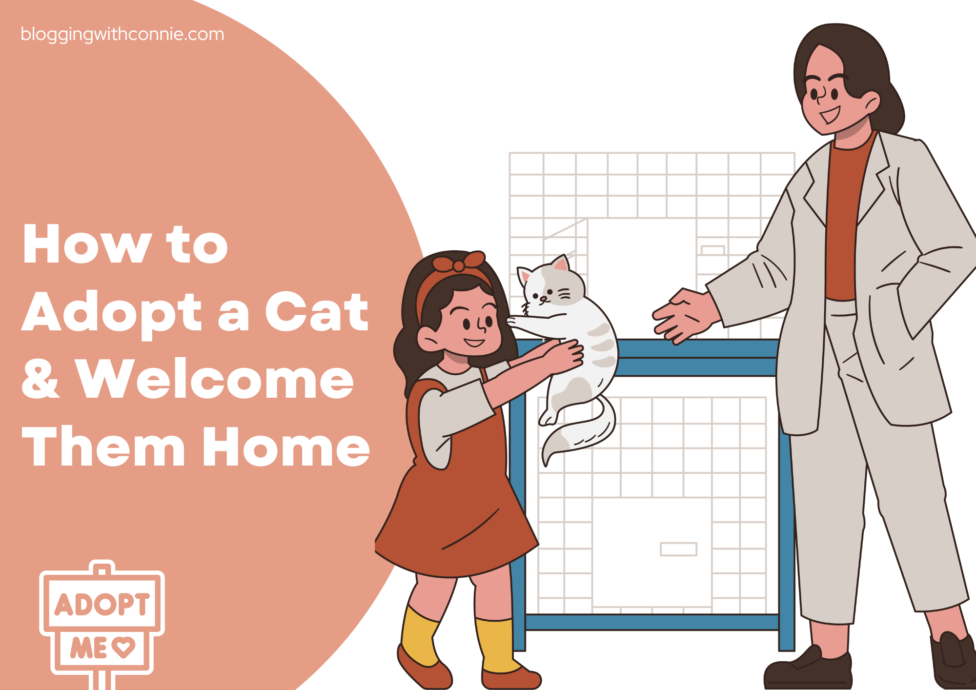 How to adopt a cat and welcome them home