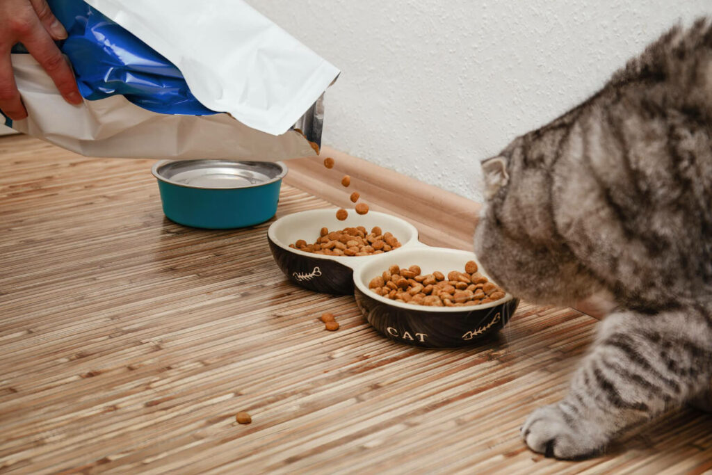 putting freeze dried food in the cats bowl