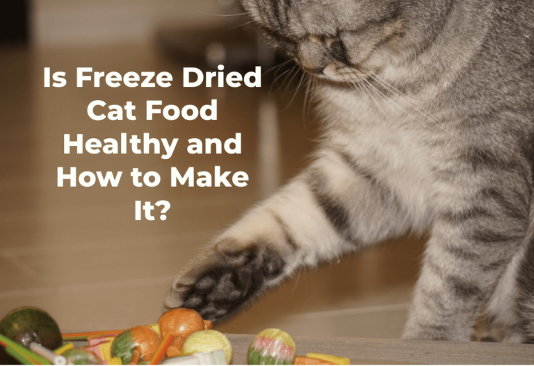 freeze dried cat food